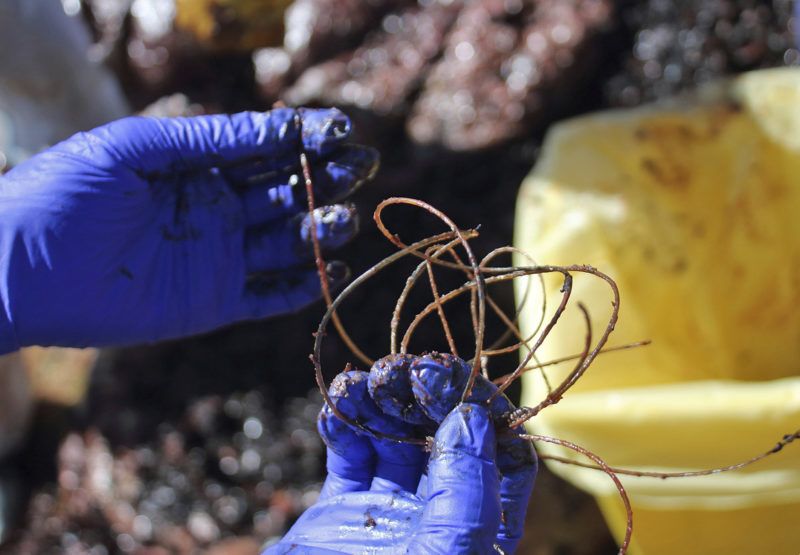 Porto Cervo, 2019. április 1. A SEAME állatvédõ szervezet által közreadott kép egy partra vetett bálna gyomrából kiszedett szemétrõl a Szardínián fekvõ Porto Cervo partjainál 2019. március 30-án. A nyolcméteres ámbráscet gyomrában 22 kilogramm emészthetetlen hulladékot, köztük klímacsövet, mûanyag edényeket, nejlonzacskókat, horgászzsinórokat, mosószer-csomagolásokat találtak, ami az állat pusztulását okozta. MTI/AP/SEAME Sardinia Onlus
