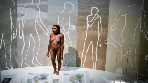 A picture taken on March 26, 2018 shows a thermoforming of a Flores woman displayed for the Neanderthal exhibition at the Musee de l'Homme in Paris. / AFP PHOTO / STEPHANE DE SAKUTIN