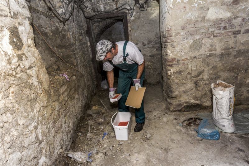 Budapest, 2016. augusztus 11. A Bábolna Bio Kártevõirtó és Szolgáltató Kft. patkányirtási részlegének munkatársa egy társasházban mérget helyez ki a fõvárosi XIII. kerületi Jász utcában 2016. augusztus 11-én. MTI Fotó: Szigetváry Zsolt