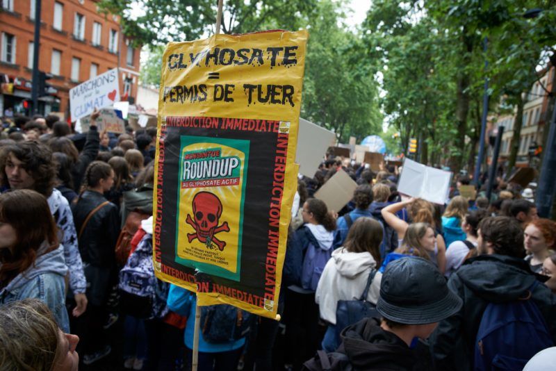 A protester holds a placard reading 'Glyphosate : license to kill'. Following the call of Greta Thunberg for a World School Strike, school students and students took to the streets of Toulouse for the 2nd time to denounce the governments inaction towards the climate crisis. They denounce the lack of action against the environment crisis. Similar protests took place all over the world. After this protest, they rejoined the March for the Climate.Toulouse. France. May 24th 2019. (Photo by Alain Pitton/NurPhoto)