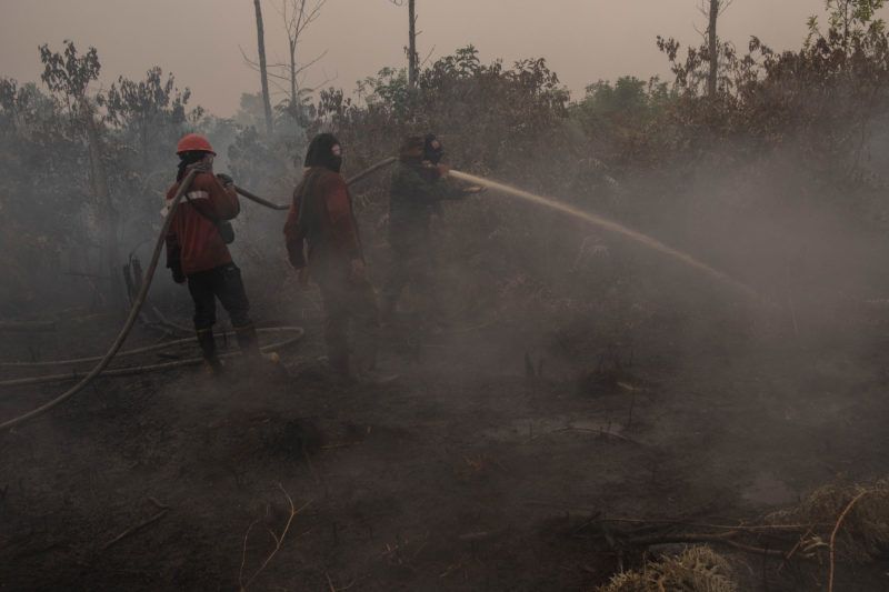 Indonesian army and forest fire department Indonesian Ministry of Forestry and Environment ( Manggala Agni) try to extinguish a forest fire at Kampar on Agustus 25, 2019, in Riau Province, Indonesia. Today, the haze from forest fire in Riau, induce to Air pollution in Pekanbaru city reaches ëvery unhealthyí level. (Photo by Afrianto Silalahi/NurPhoto)
