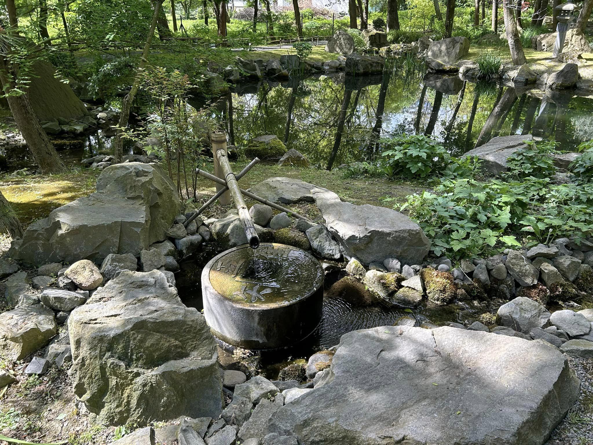 Rejtett kis japánkert Szentendrén: a csend, a nyugalom, a harmónia titkos szigete