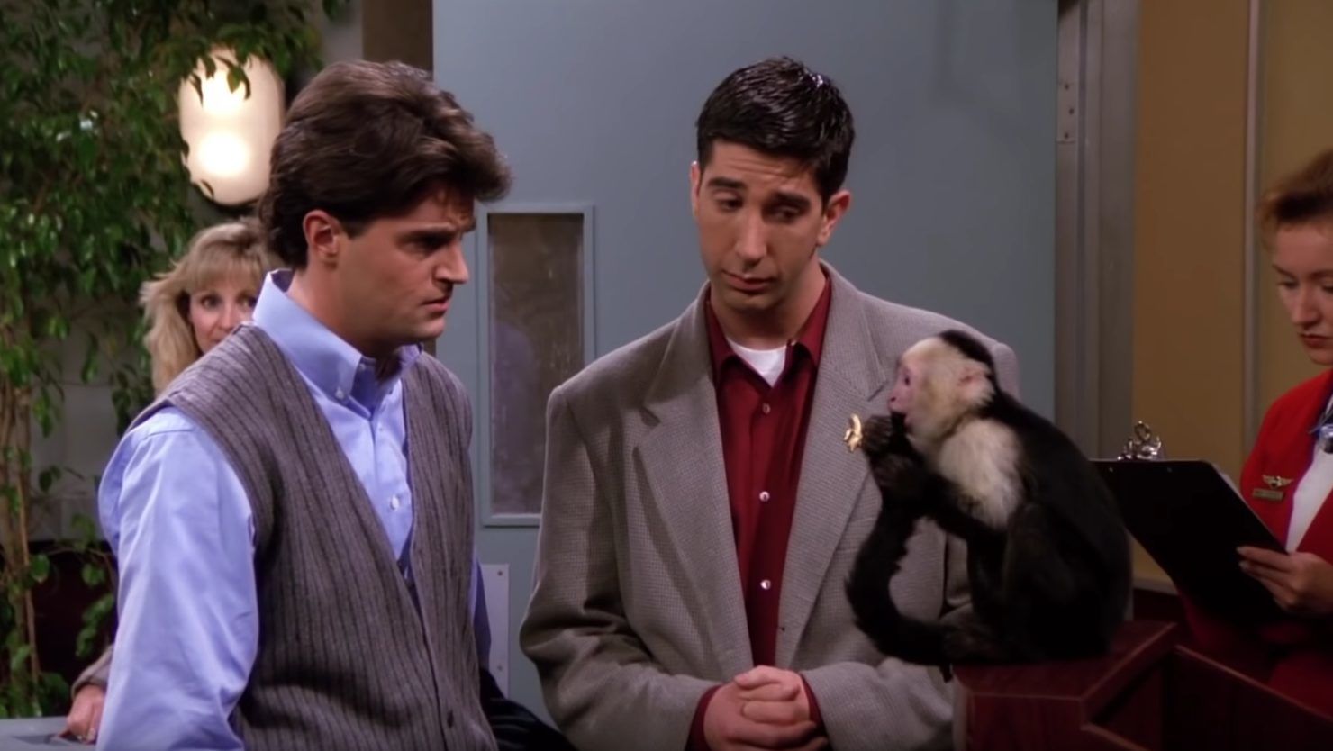 David Schwimmer nagyon unta a Jóbarátok majmát, Joey viszont imádta