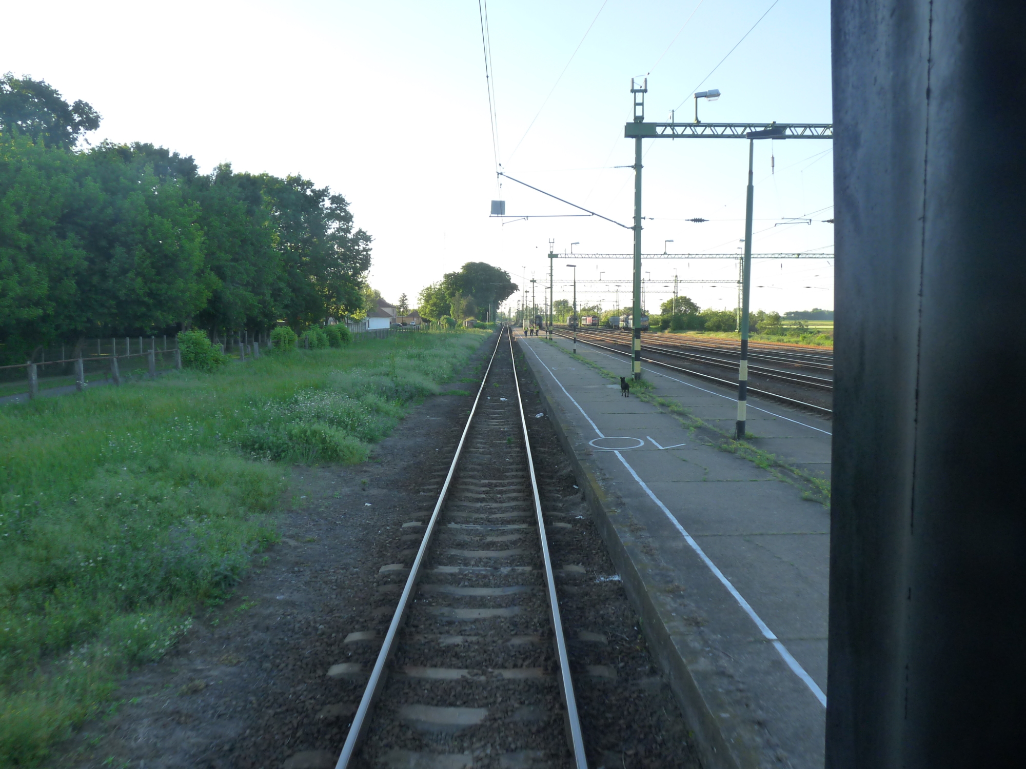 TEK: Vonattal jött Magyarországra az új-zélandi terrorista