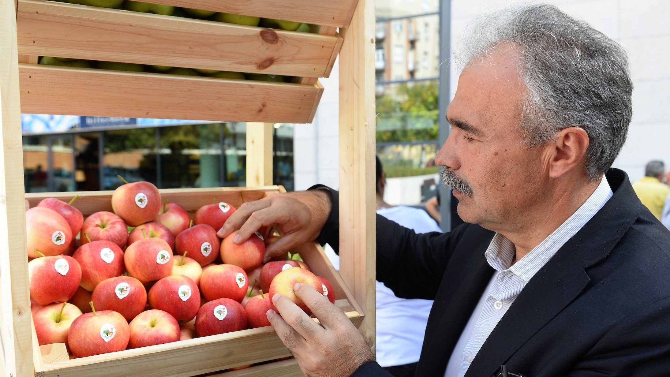 Több tízezer tonna magyar almát még aprópénzért sem tudnak eladni