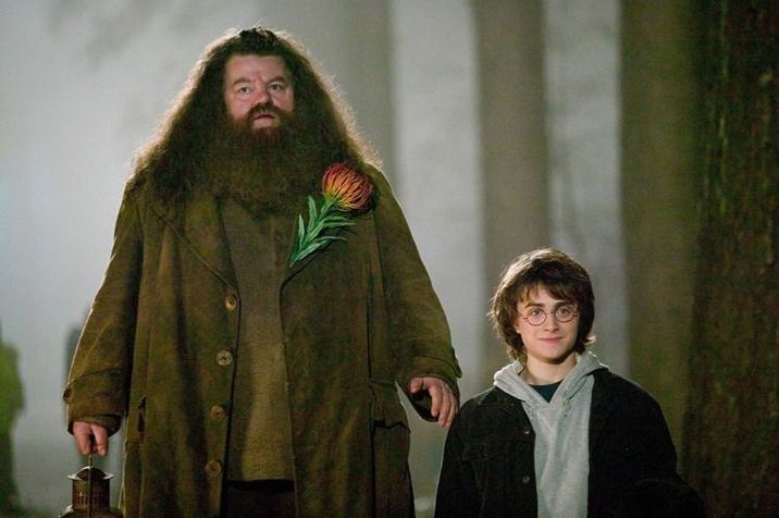 Tolószékbe került a Harry Potter-filmek sztárja
