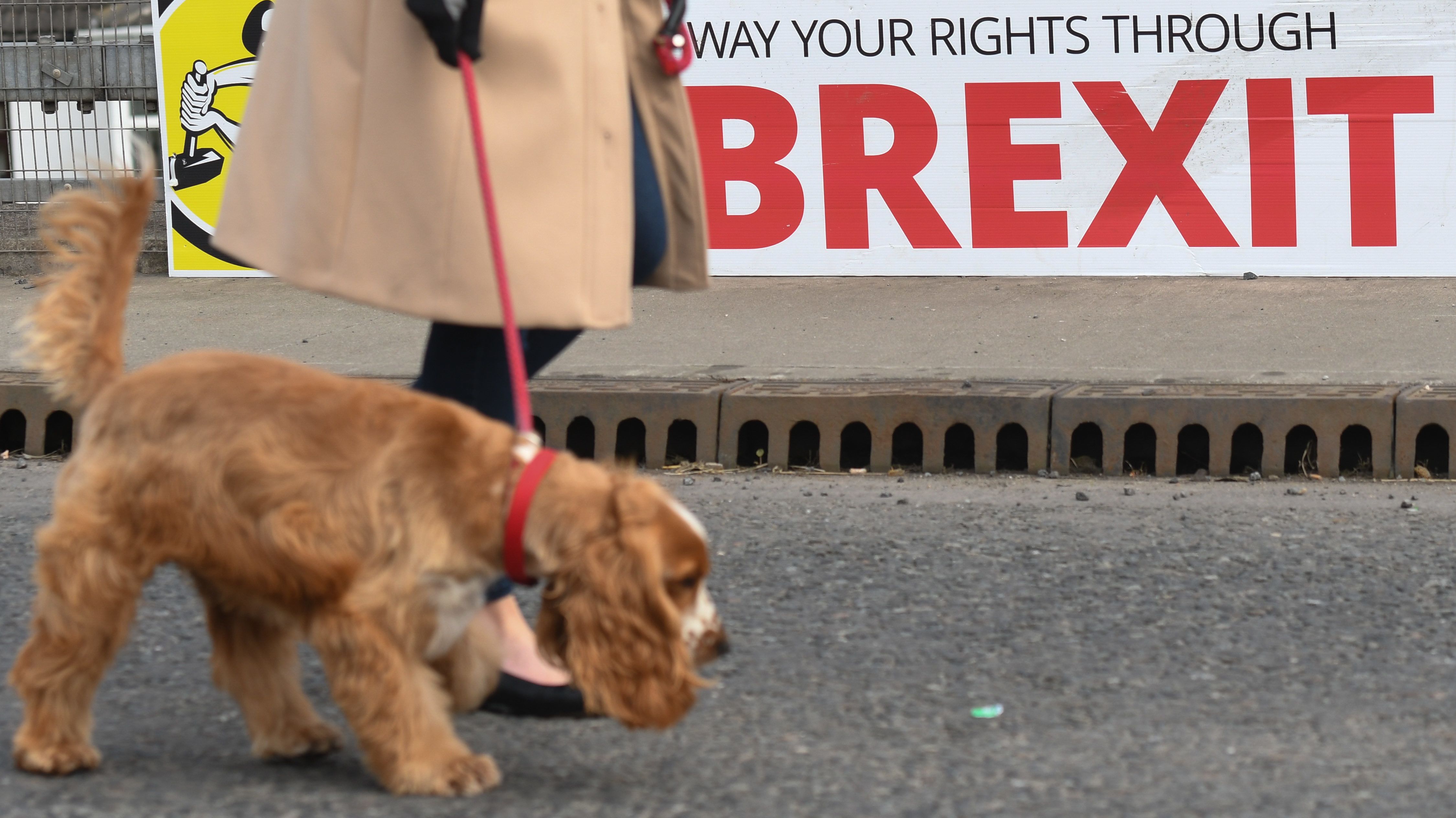 Hétfőn újabb alternatív brexitek kerülhetnek a brit parlament elé