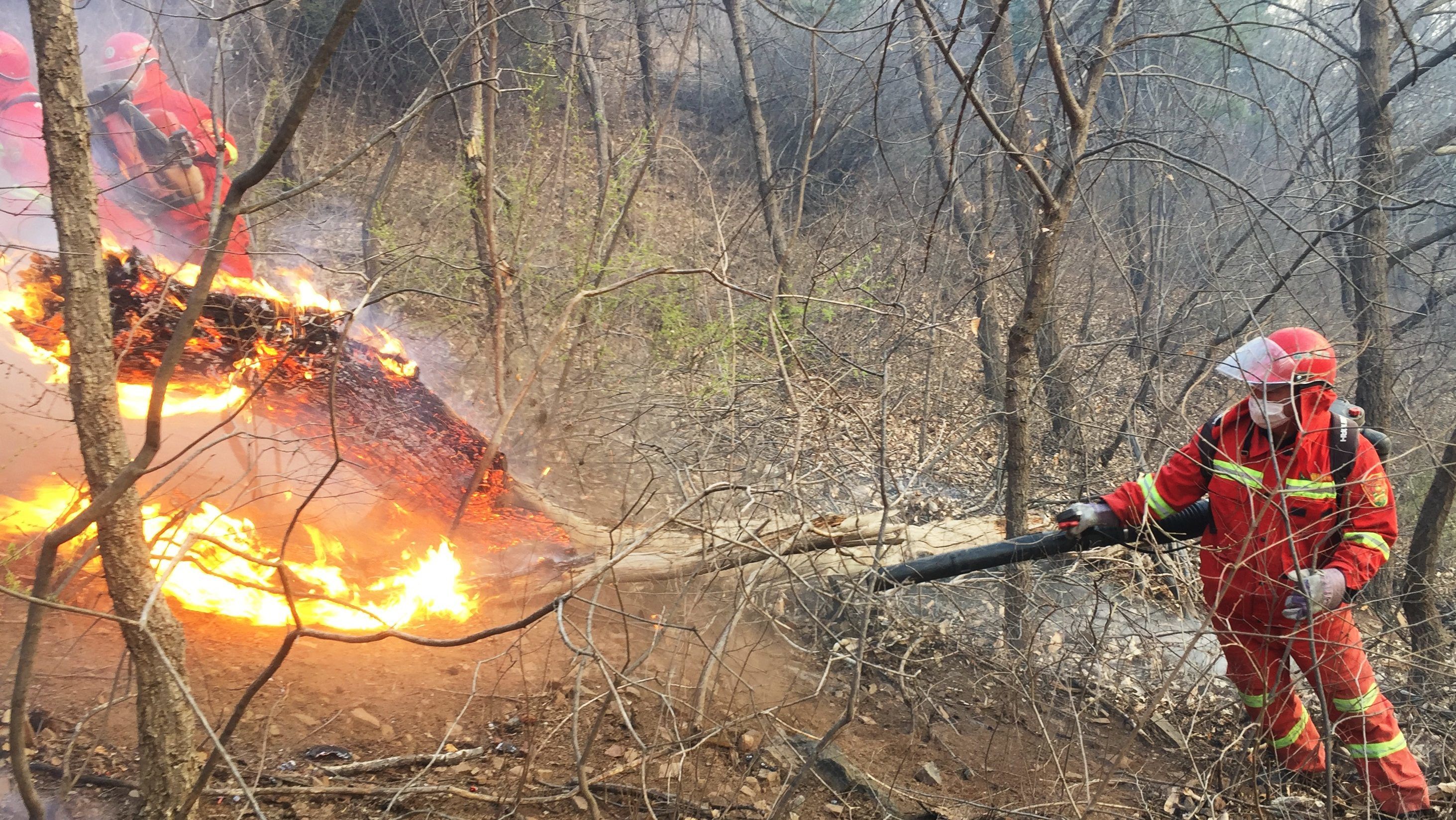 Harminc tűzoltó veszett oda egy erdőtűzben Kínában
