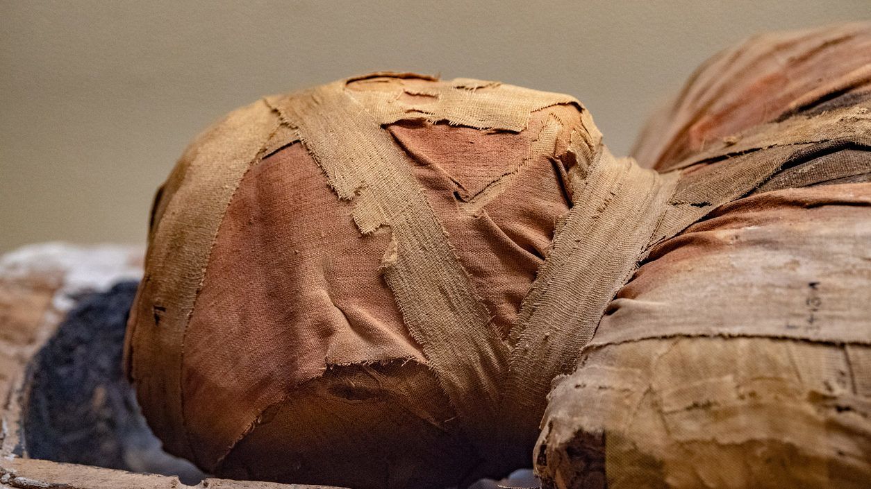 Múmiákkal teli sírra bukkantak Egyiptomban