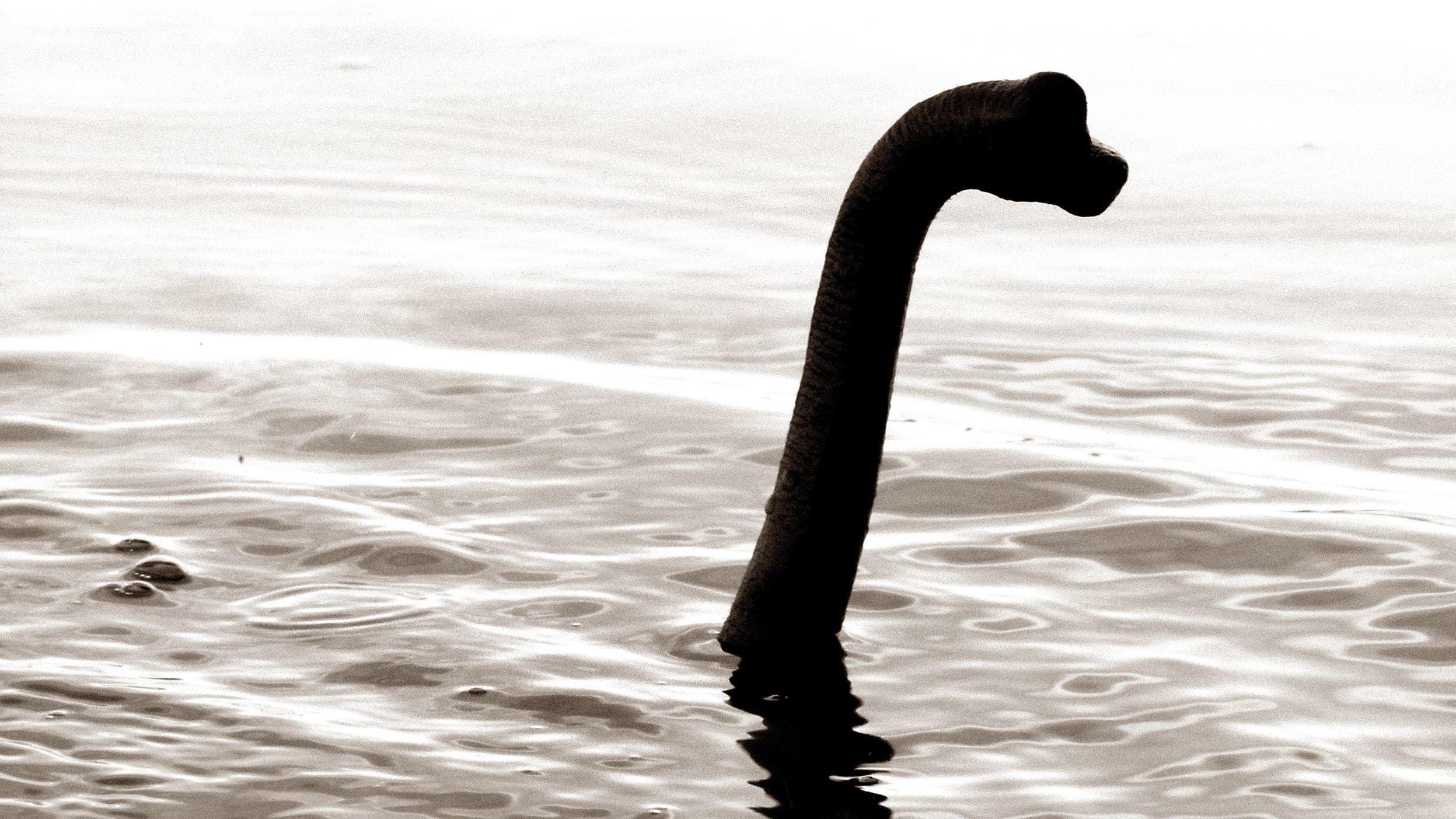 Végre megfejtették a Loch Ness-i szörny legendájának titkát