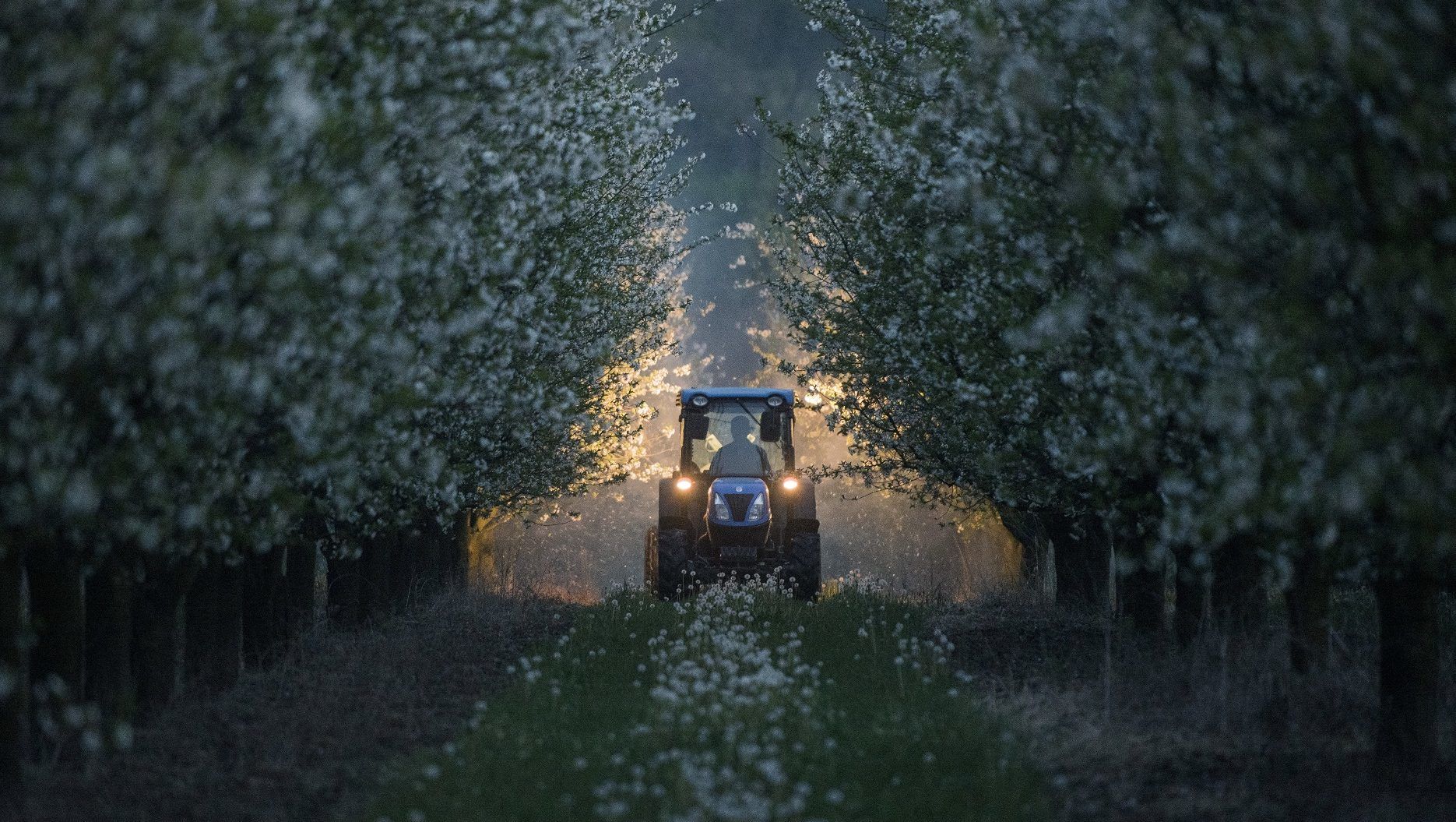 Akár 20 millió embert is elláthatna élelmiszerrel a magyar mezőgazdaság