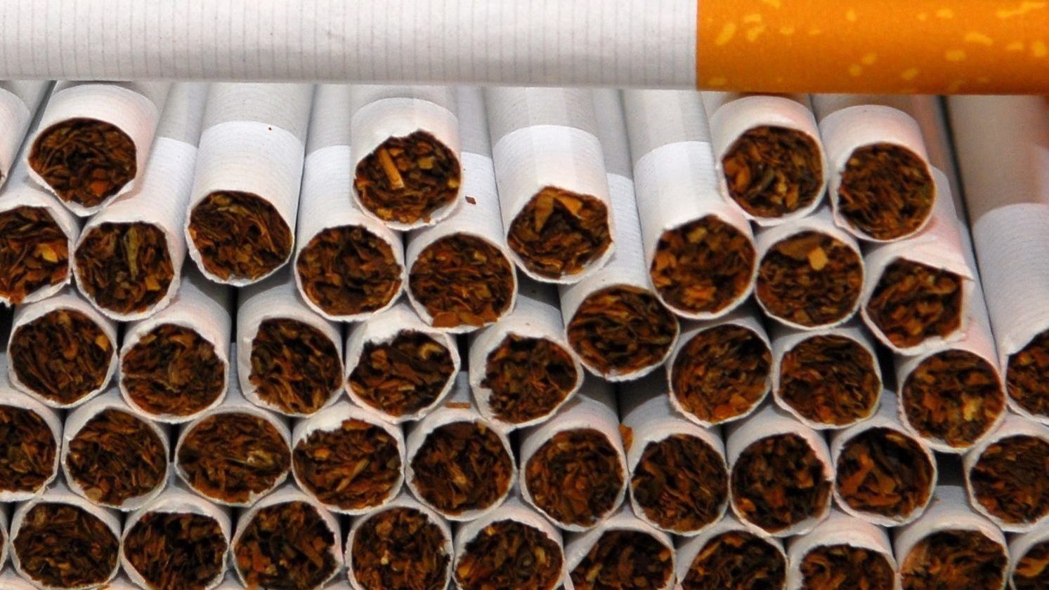 Több mint 20 ukrán fulladt bele a Tiszába cigarettacsempészés közben tavaly