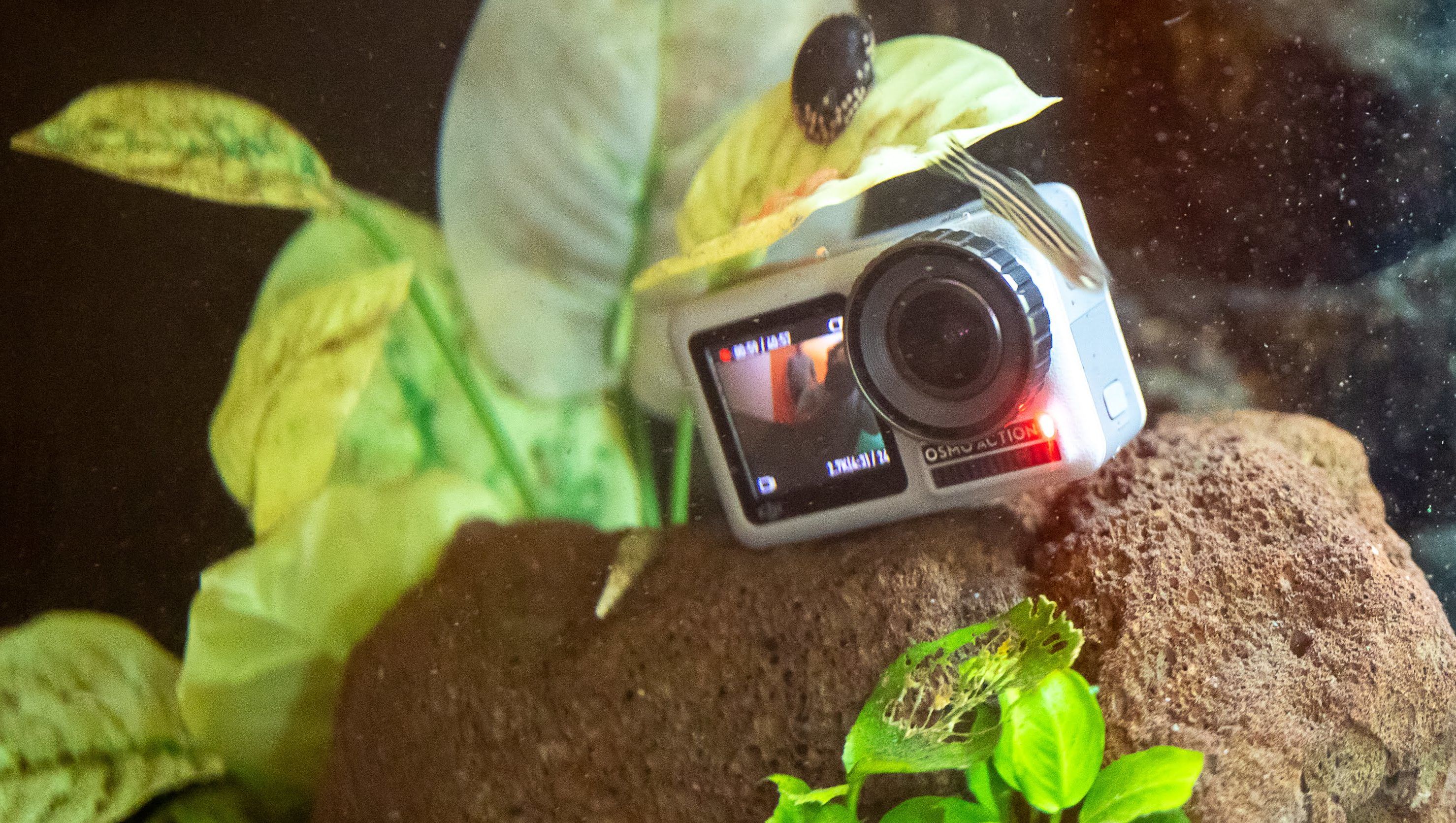 Komoly konkurenciát kaptak a GoPro akciókamerák: itt a DJI Osmo Action