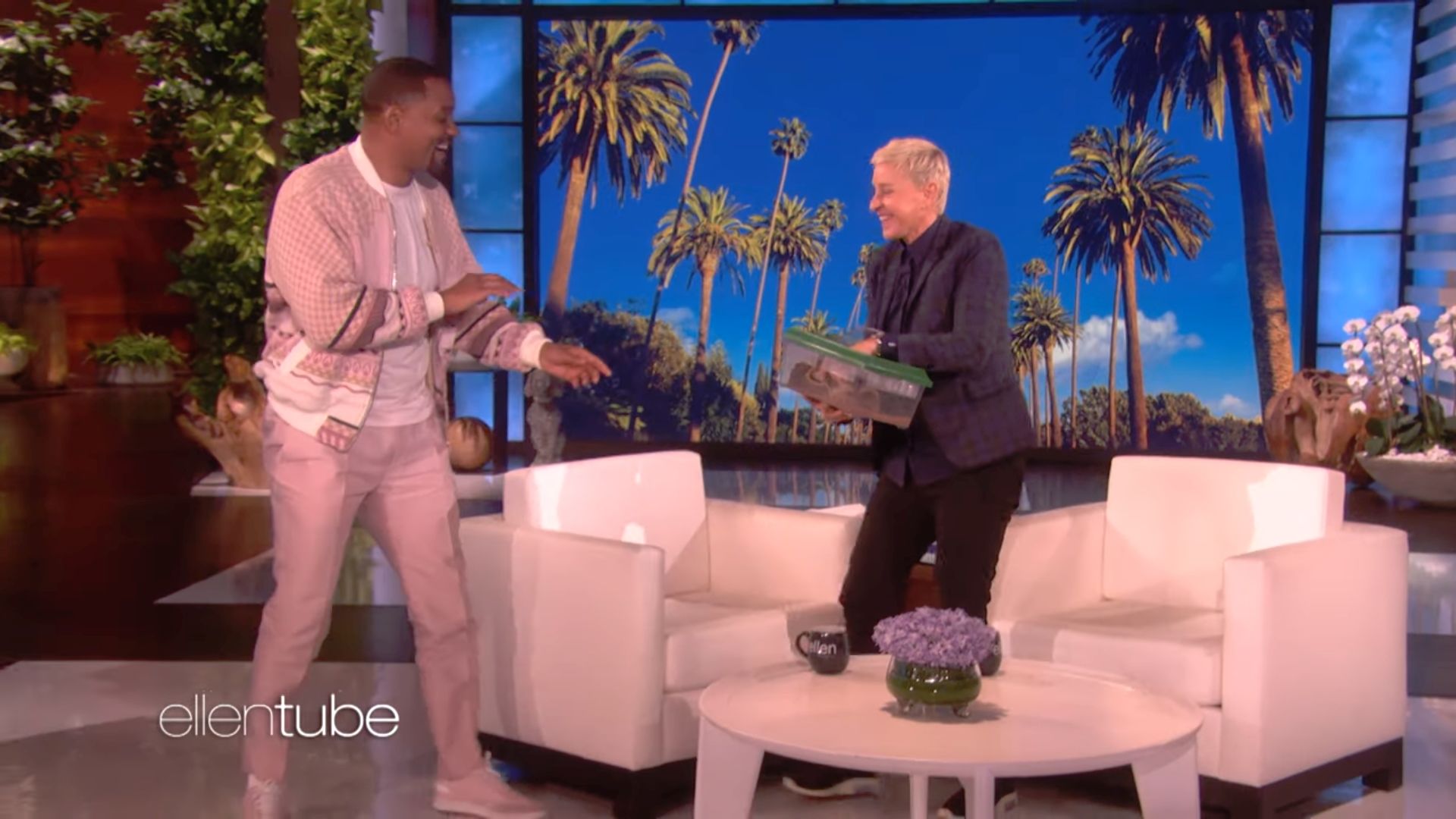 Ellen DeGeneres a frászt hozta Will Smith-re játékegerekkel