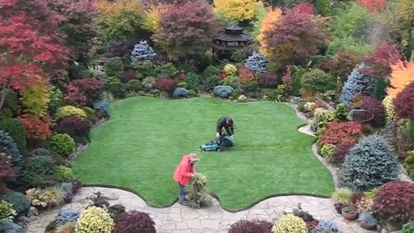 Csodájára járnak a turisták a nyugdíjas házaspár kertjének