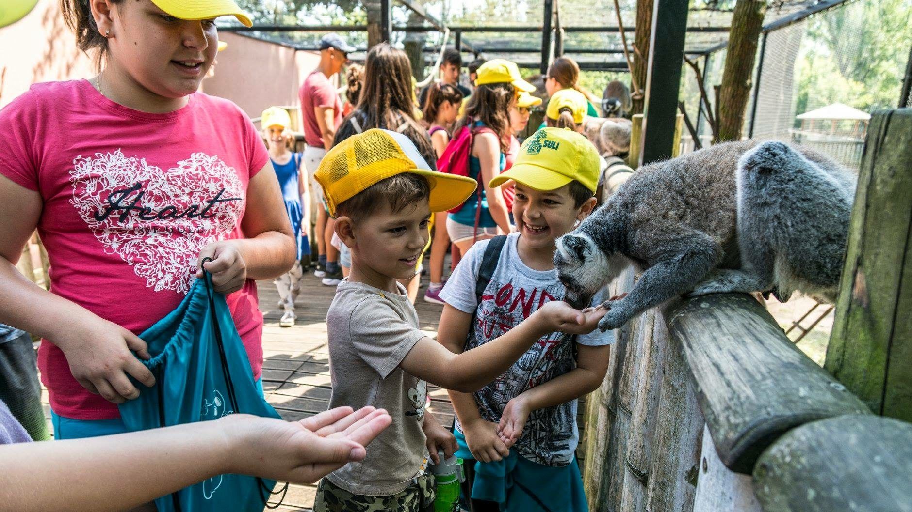 Júliusban Vasemberré válhatnak, de az állatkerti izgalmak is táborba hívják a gyerekeket