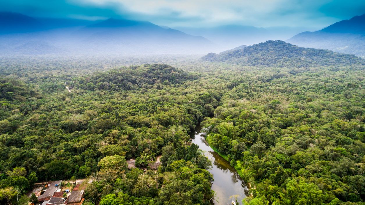 Félelmetes sebességgel pusztul az Amazonas-medence