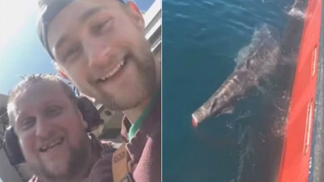 Videón, ahogy két barbár halász nevetve levágja egy veszélyeztetett cápa farkát