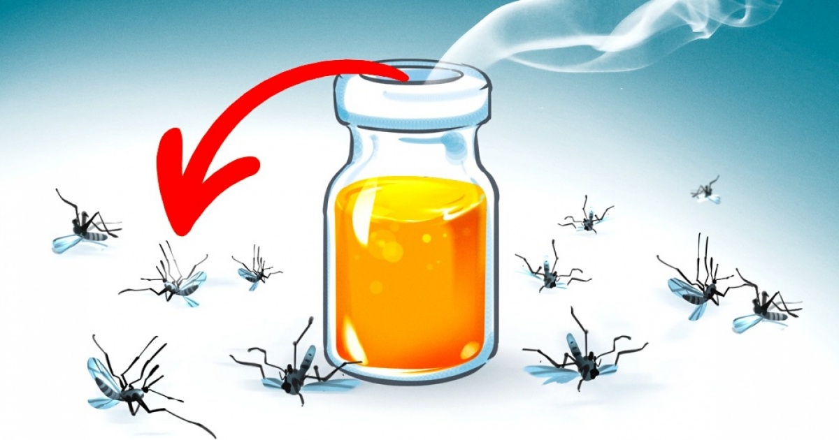 10 természetes illat, amely elriasztja a szúnyogokat azon nyomban