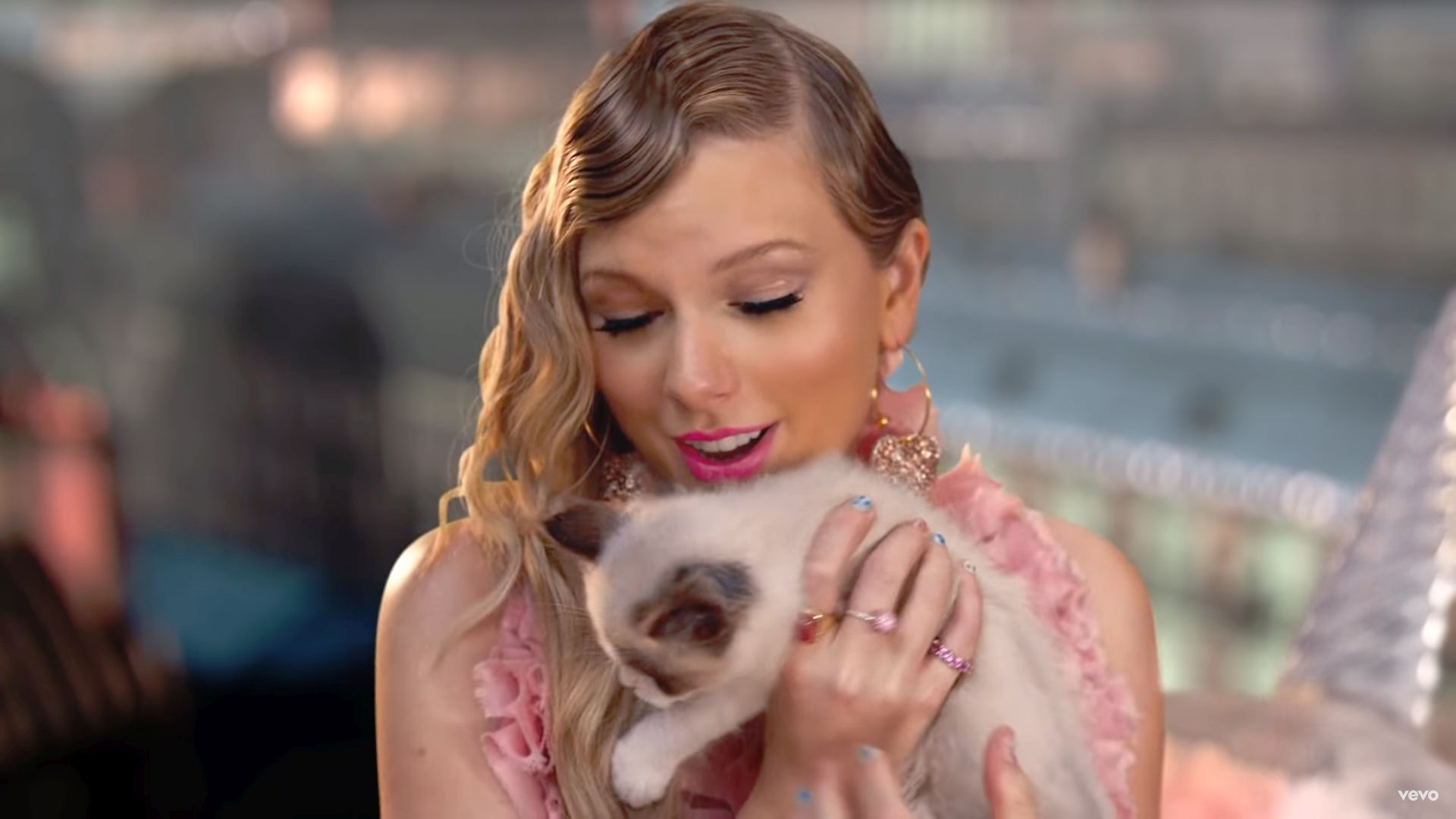 Taylor Swift levédette az új macskáját