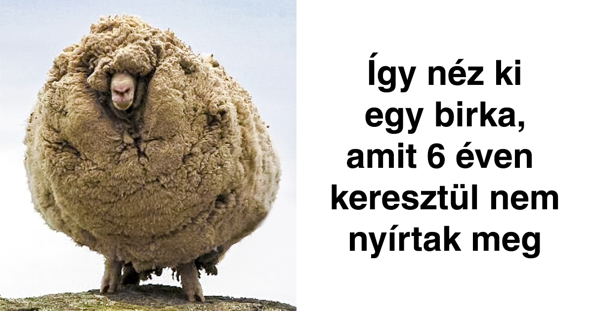 15 ritka fotó, amit legalább egyszer neked is látnod kell