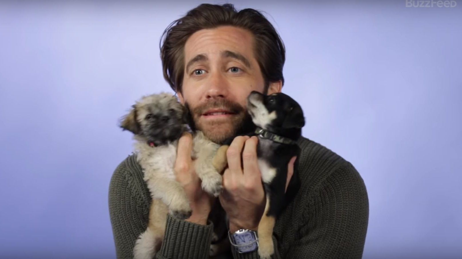 Végtelenített verziót akarsz a videóból, ahol Jake Gyllenhaal kölyökkutyákat ölelget