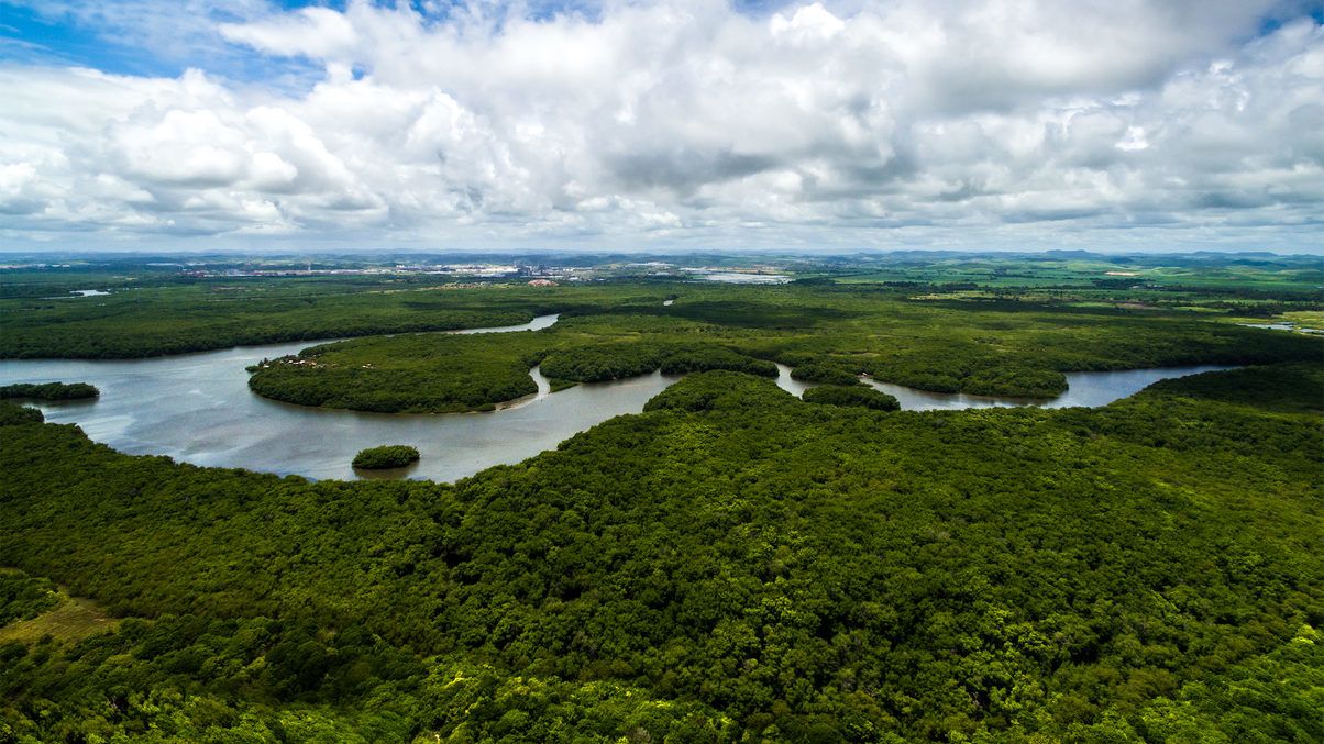 Évek óta nem vágtak ki ennyi fát Amazóniában