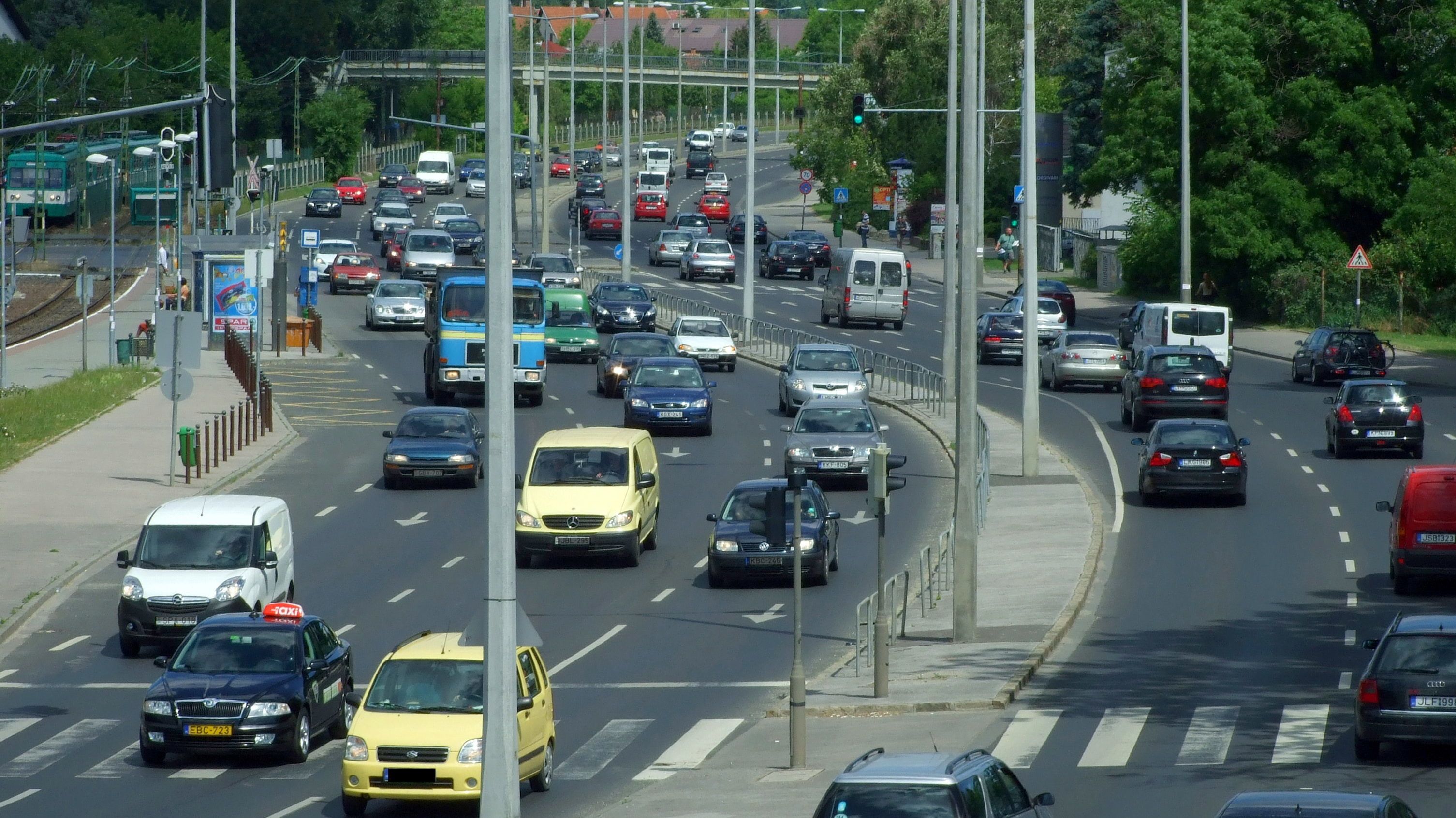 Hatvankét fát vágnak ki a Szentendrei úton