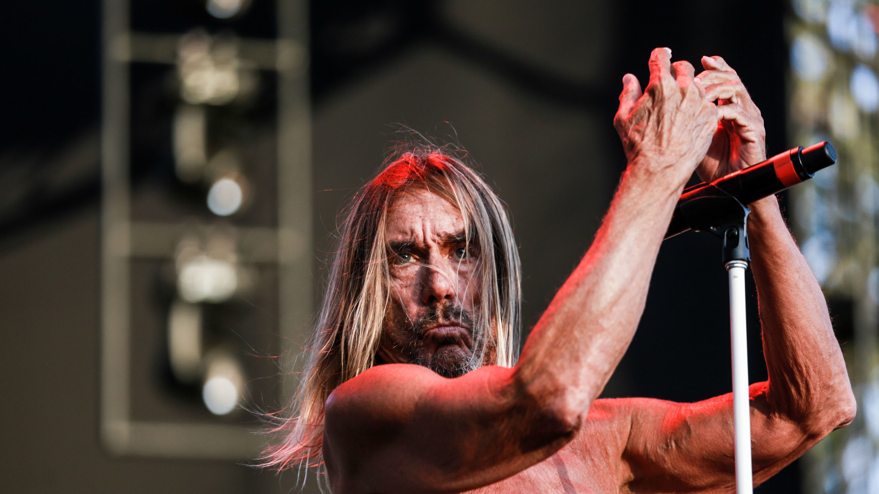 Ősszel érkezik a jövő héten nálunk koncertező Iggy Pop új albuma