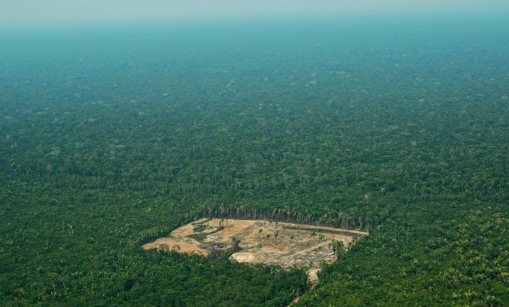 Féktelenül irtják az Amazonast, az elnök Brazília hírneve miatt aggódik