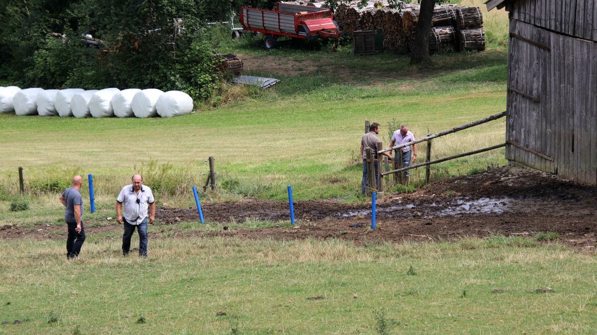 Nyolc lövéssel sikerült kiütni a gyilkos bikát