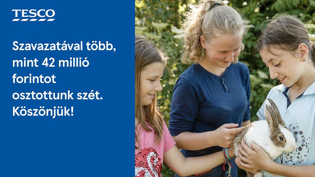 42 milliós támogatást oszt szét a Tesco (X)