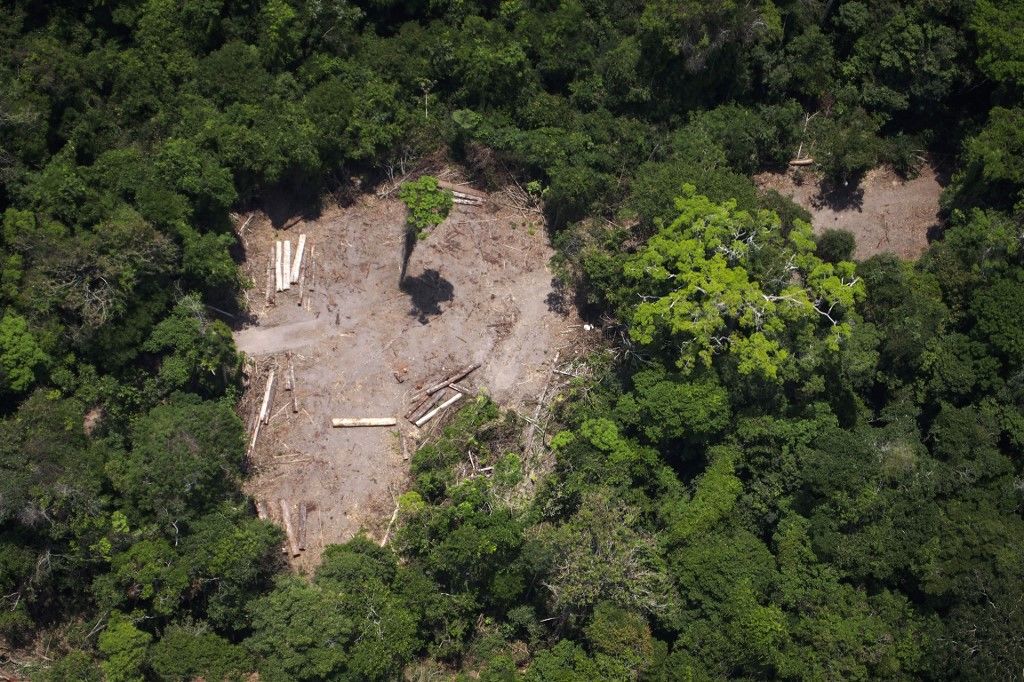 Németország megunta Brazília féktelen fakitermelését és elzárta a pénzcsapot