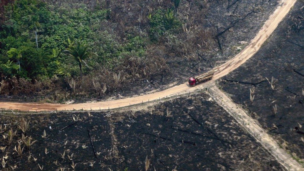 Az összeomlás szélén áll az amazonasi esőerdő