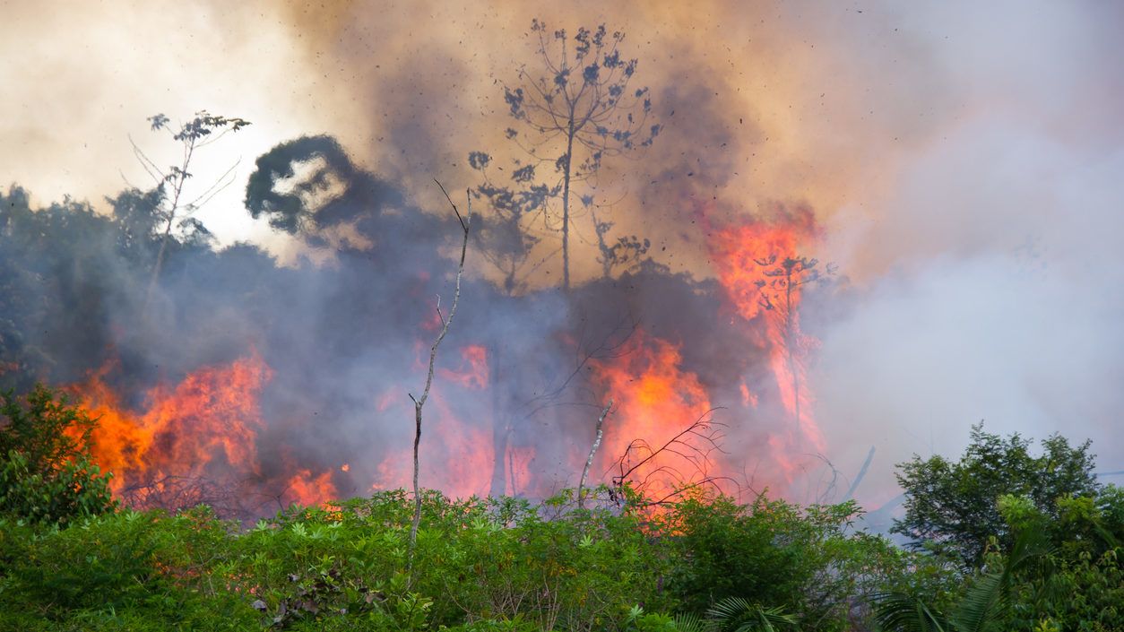 Nem csak az Amazonas-medencében van hatalmas tűzvész
