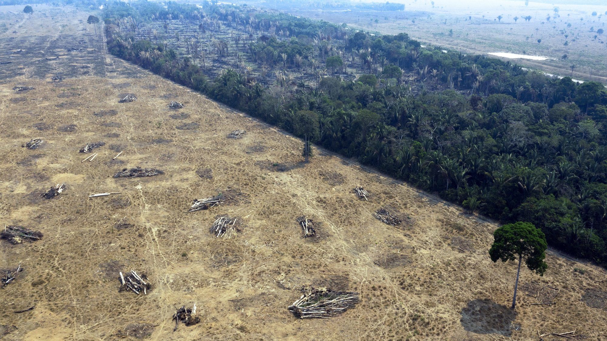 Brazília egy feltétellel hajlandó elfogadni az amazóniai erdőtűz megfékezésére szánt támogatást
