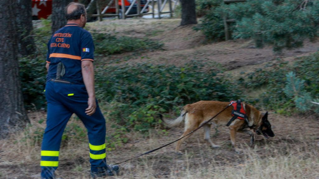 Holtan találták meg az eltűnt alpesi sízőt