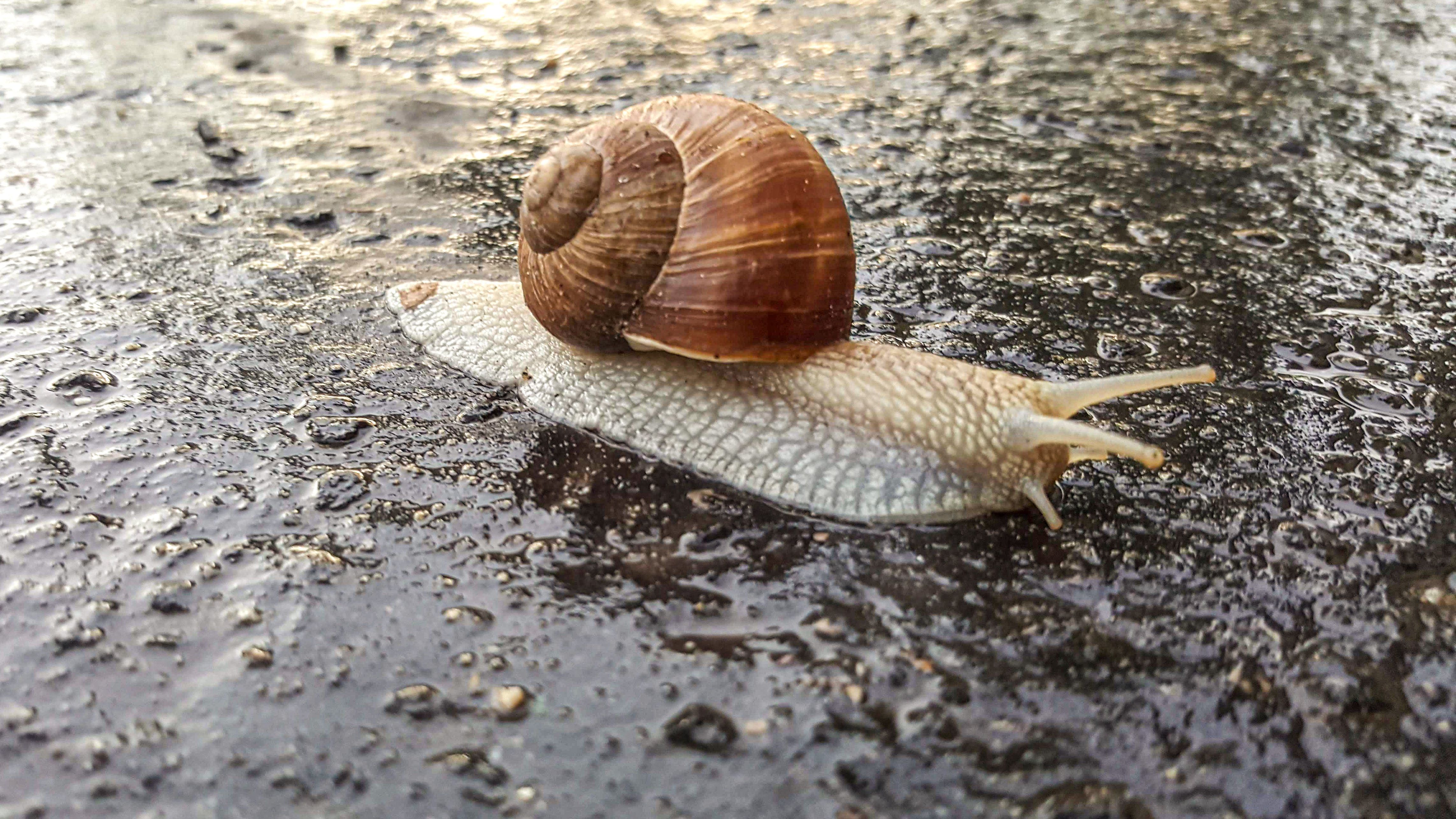 Ma is bárhol bőrig ázhatunk