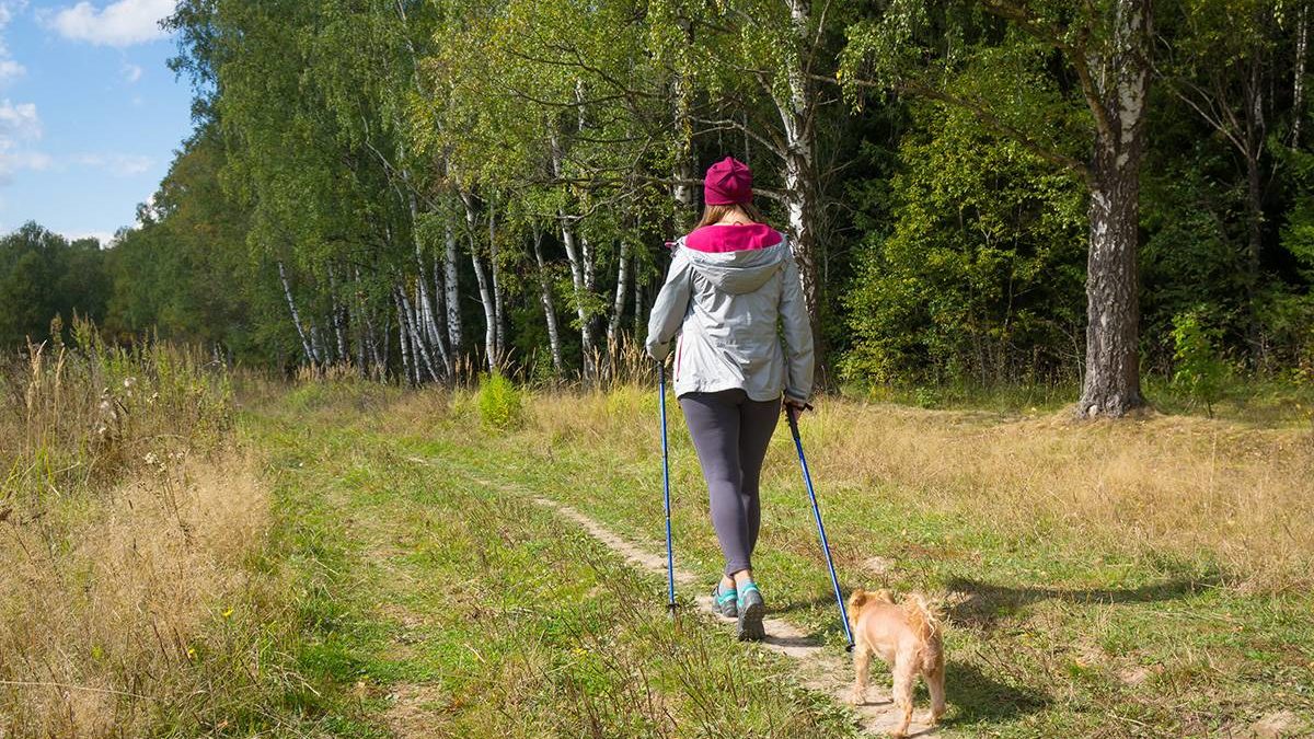 Megrugdosta volt élettársát a buszpályaudvaron, megölte a saját kutyáját egy devecseri férfi