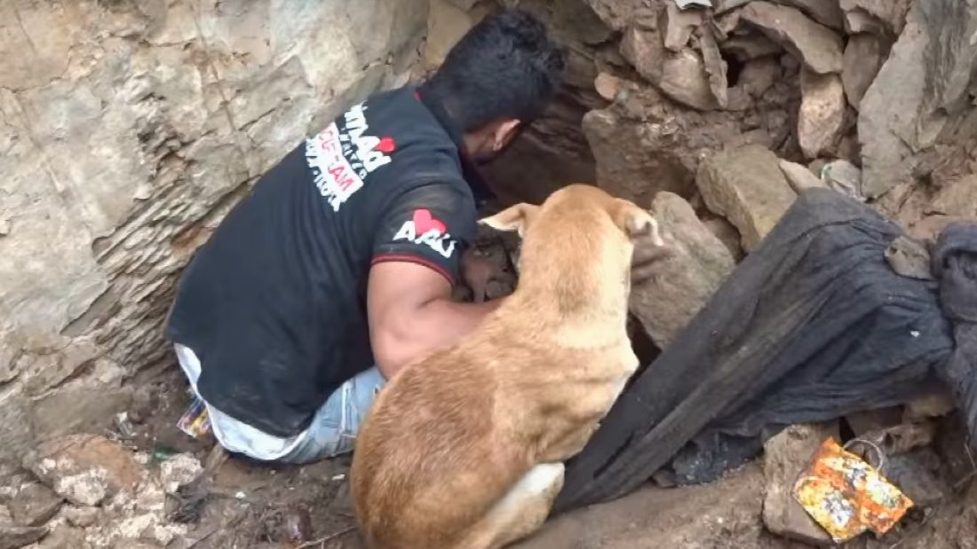 Az utóbbi idők legerősebb videóján romok közül ássa ki egy kutya a kölykeit