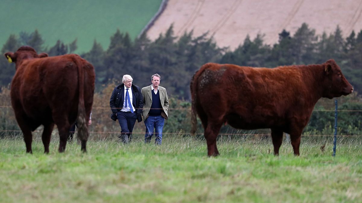 A skótokon múlhat Boris Johnson és a brexit sorsa is