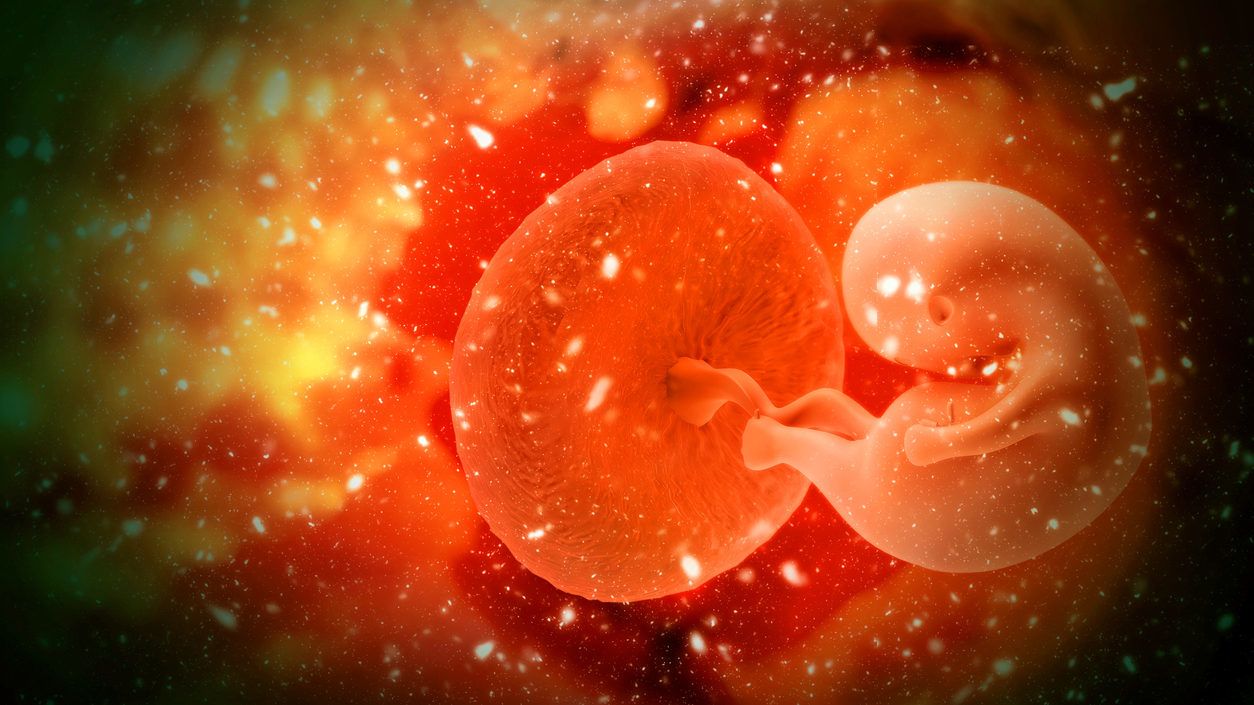 Hüllőszerű izom nő az embriók kezében