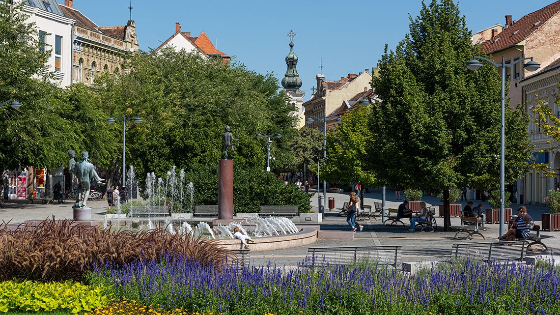 Fidesz-közeli civil szervezet alakult Szombathelyen a választás előtt