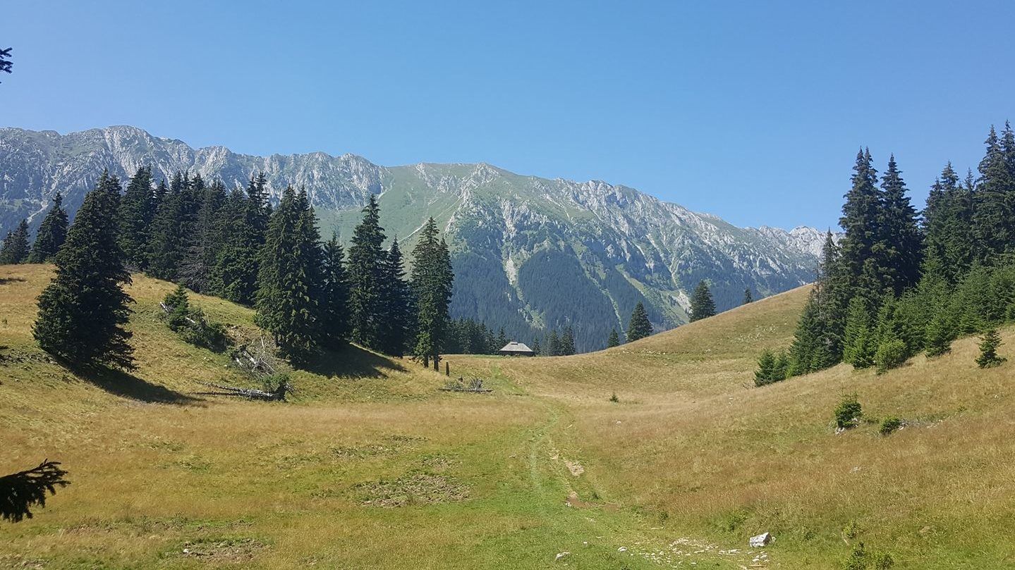 Le kellett fújni egy maratont, mert két versenyző meghalt