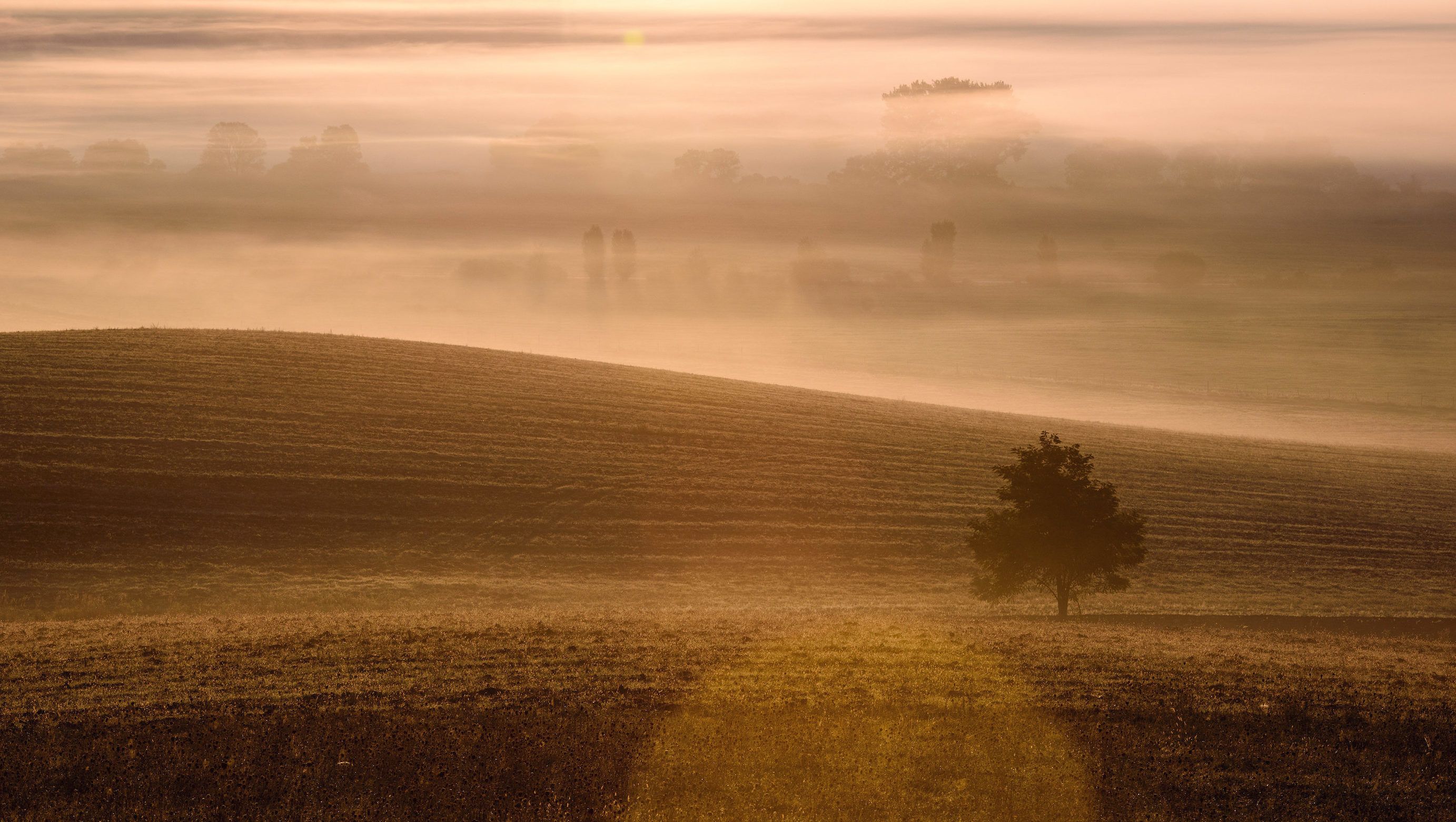 Nem az időjáráson fog múlni, hogy elmegy-e szavazni