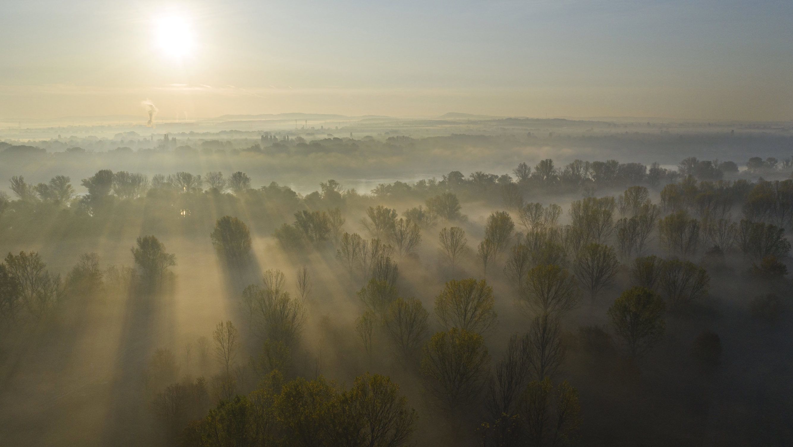 Három megyére adtak ki figyelmeztetést sűrű köd miatt