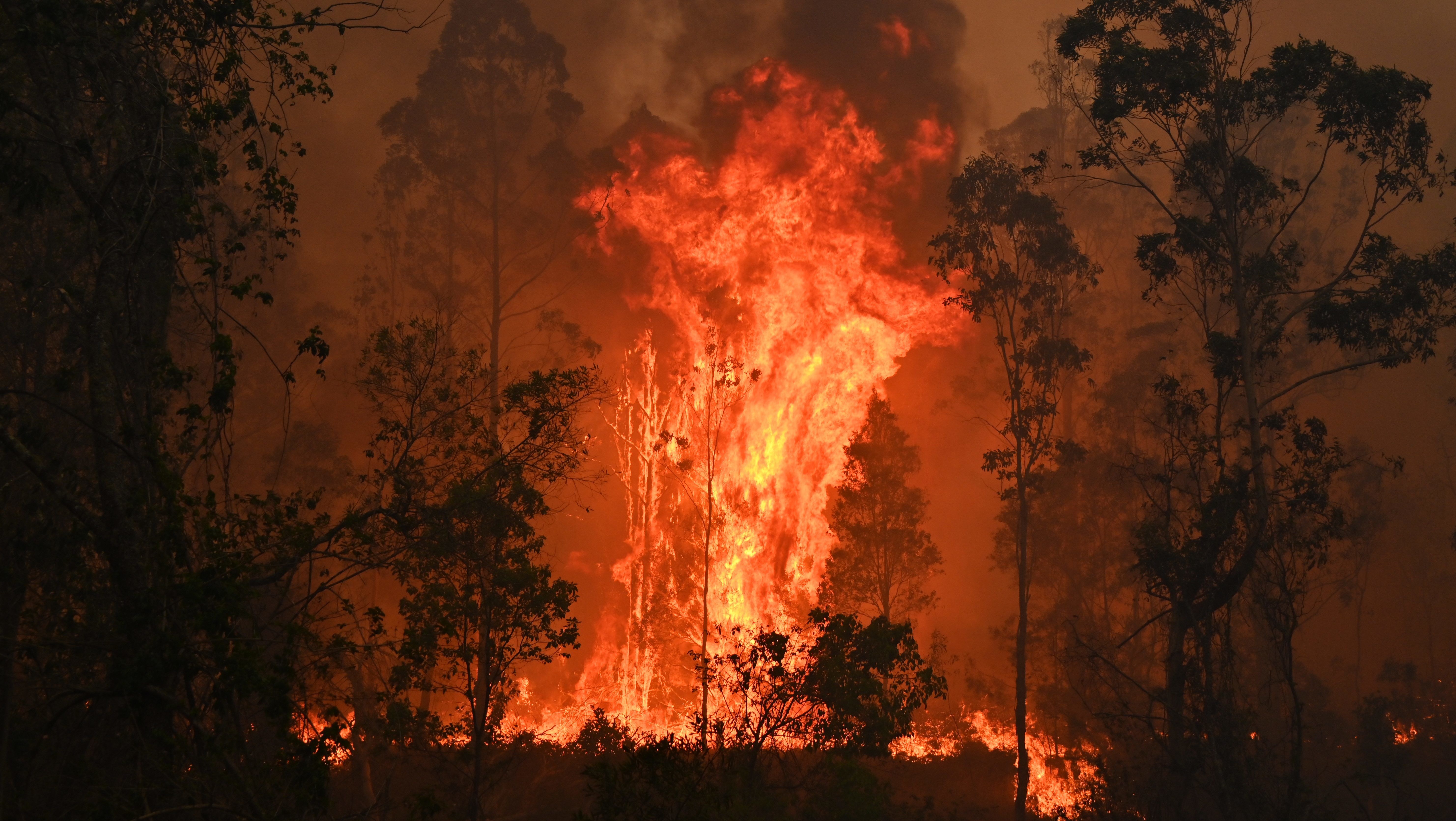 Videó: katasztrofális tűzvész pusztít Ausztráliában