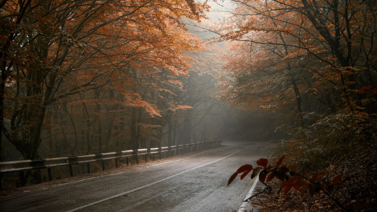 Folytatódik a borongós, de enyhe őszi idő