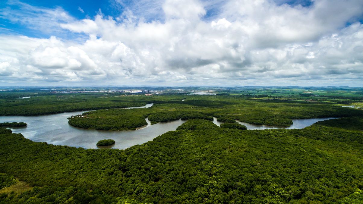 Rég nem látott ütemben pusztul Amazónia
