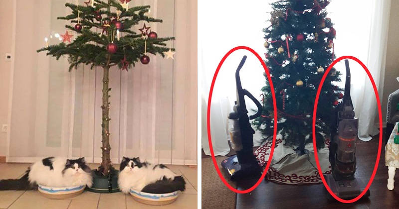 18 zseni, aki megtalálta a tökéletes módját annak, hogyan védje meg a karácsonyfáját a pofátlan macskáktól és kutyáktól